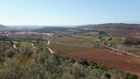 Portugal,-Óbidos,-Vista-Panorámica-Desde-La-Ciudad,-Mostrando-El-Paisaje-Con-Campos-Verdes-Y-Bosques