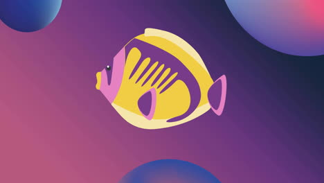 animation of tropical fish over blue and pink spheres on purple background