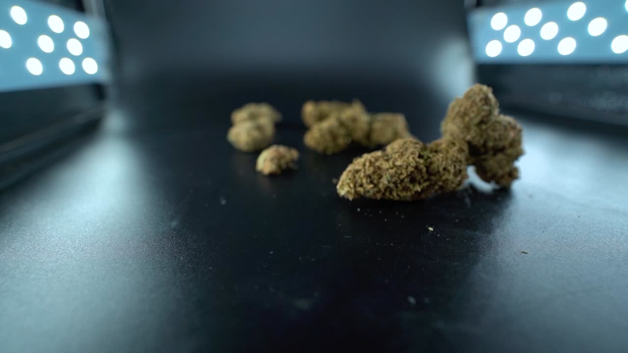 A close up detailed crane moving forward shot of a cannabis plant, marijuana flower hybrid strains, Indica and sativa, 120 fps slow motion Full HD, cinematic studio lighting, LED lights