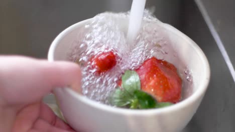 Washing-Strawberries-in-Small-Kitchen-Bowl