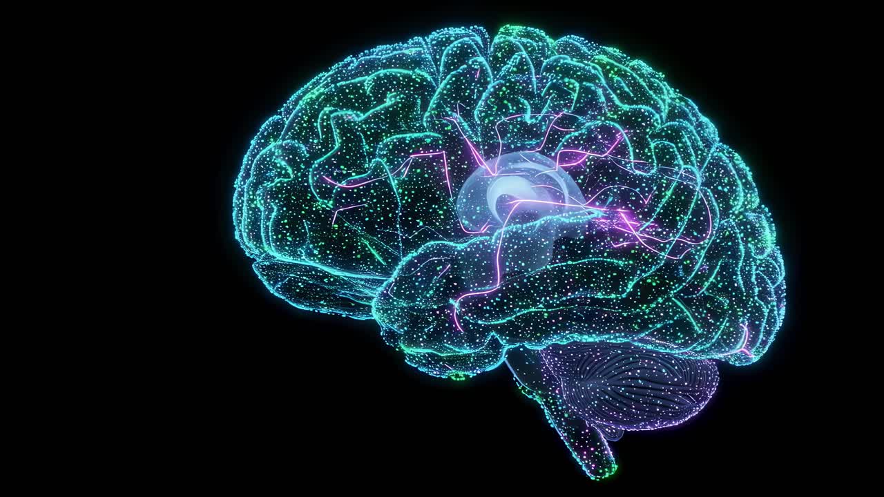 Discovering the intricacies of the human brain through stunning digital visualization techniques in a mesmerizing 3D representation
