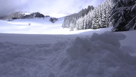 Making-a-Pile-of-Snow-in-Order-to-Build-a-Shelter-for-the-Night-in-the-French-Alps-with-a-Pine-Forest-in-the-Background-and-a-Cloudy-Sky