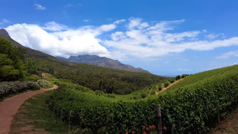 la pintoresca bodega de la granja en el valle de constantia en sudáfrica - toma de panorámica