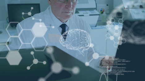 animation of data processing, digital human brain model and molecules over doctor using laptop