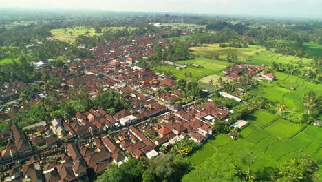 Vista-Aérea-Panorámica-De-La-Densa-Ciudad-Poblada-En-Bangli-Regency-De-Bali,-Indonesia,-Rodeada-De-Verdes-Campos-De-Arroz-Con-Cáscara.