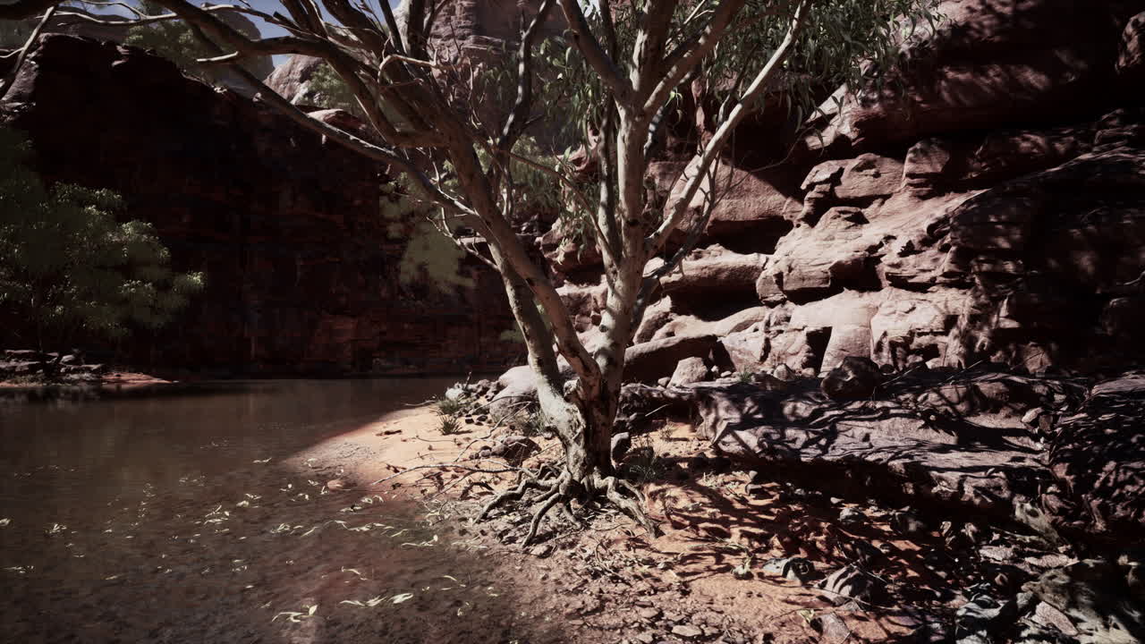 el río colorado fluye a través del gran cañón.