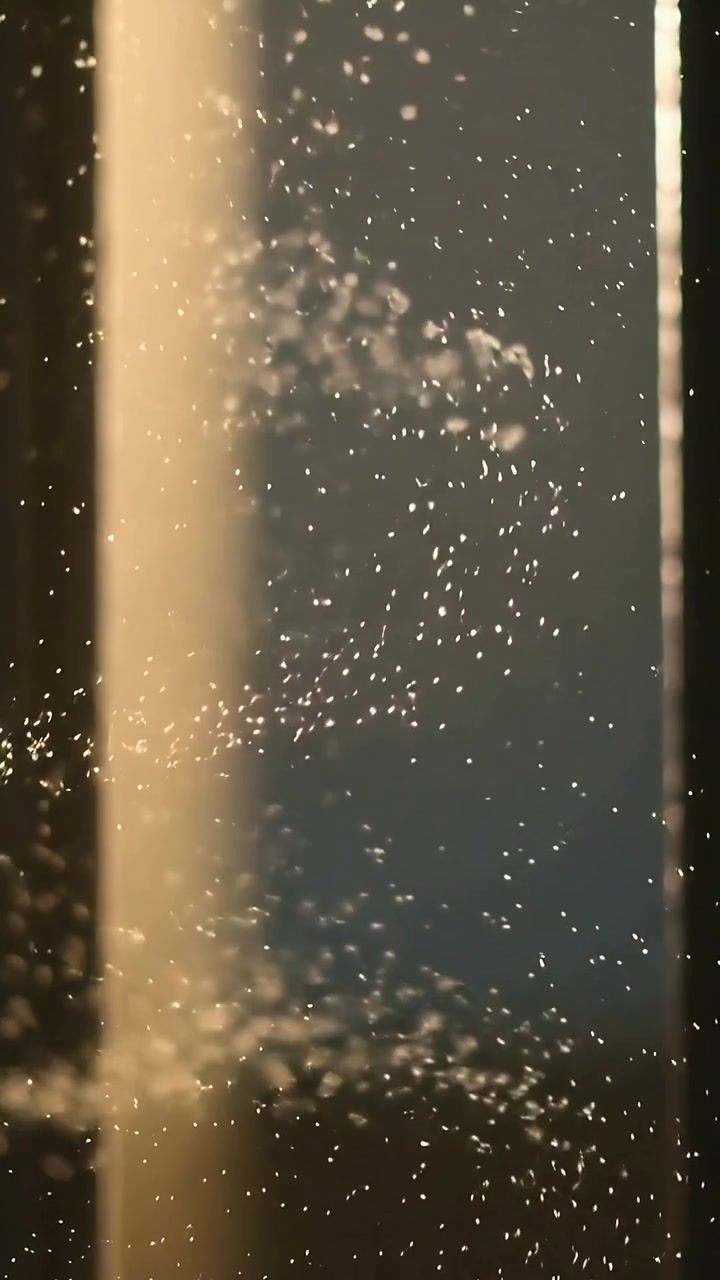 Vertical video: Warm light pouring through window sending dust motes drifting into spirals by glass