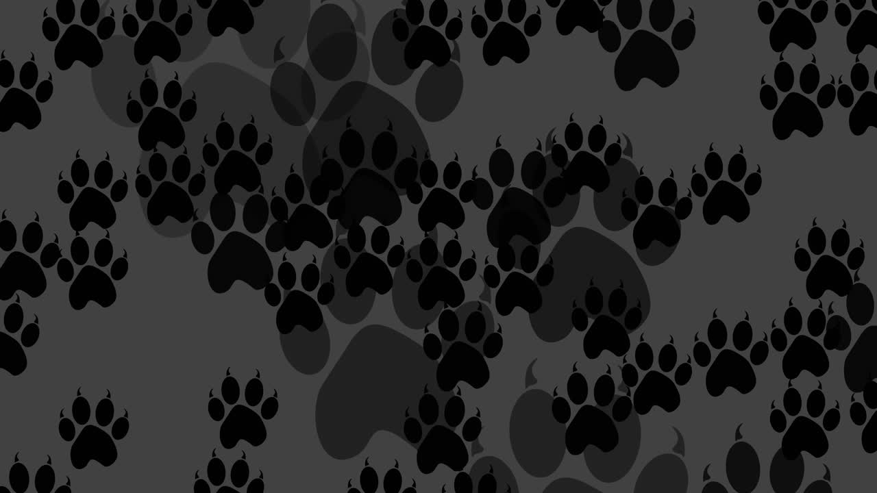 Animation of black dog paw prints filling dark grey background