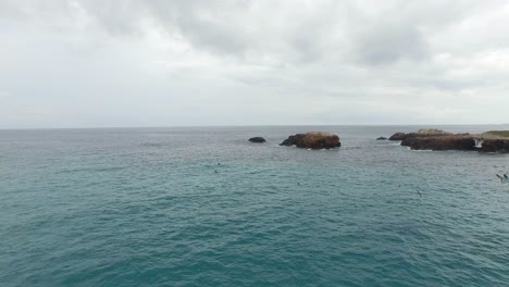 toma aérea de un grupo de aves en las islas marietas, nayarit, méxico