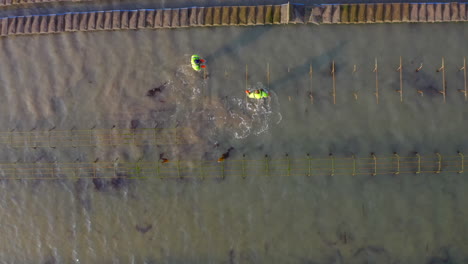 drone ascent unveils strategic oyster bed layout during precise low tide maritime cultivation moment.
