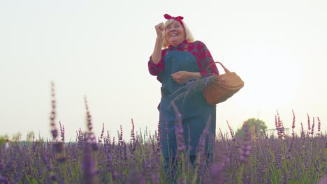 senior farmer grandmother woman in field growing lavenders, celebrating success, winning gesture