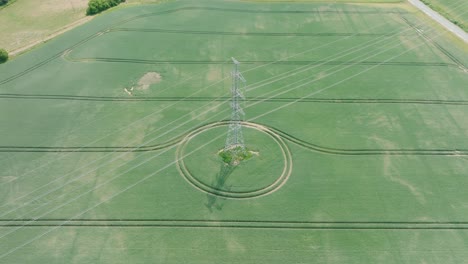 Aerial-establishing-view-of-ripening-grain-field,-organic-farming,-countryside-landscape,-production-of-food,-high-voltage-powerline,-sunny-summer-day,-wide-drone-shot-moving-forward,-tilt-down