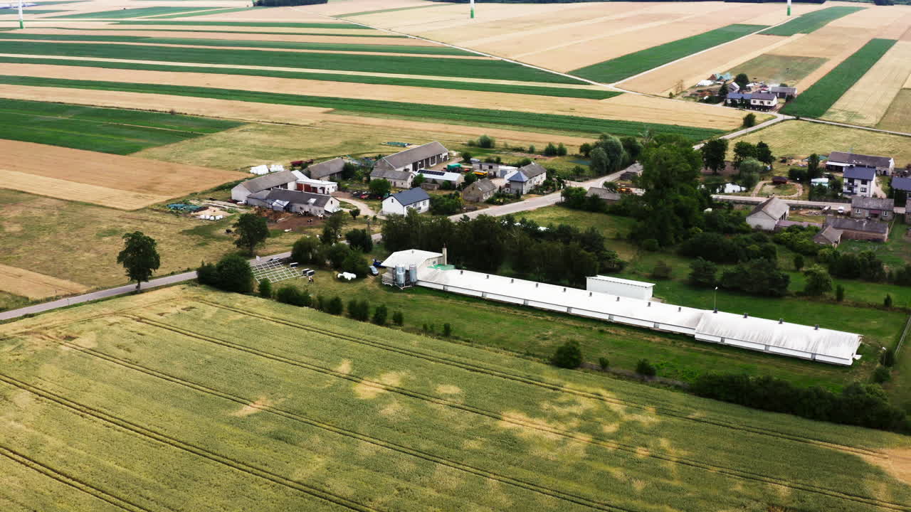 Polish Village With Poultry Farm Surrounded By Vast Fields In Summer. - aerial shot