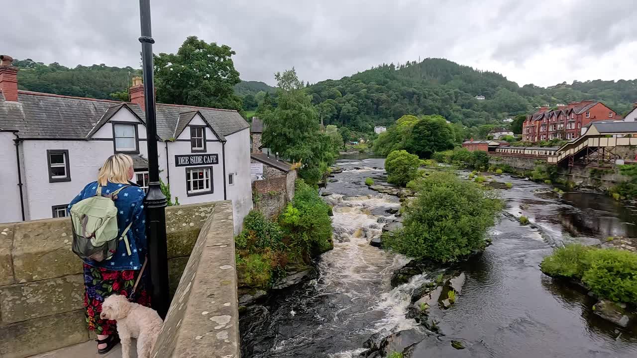 강을 바라보는 사람과 개