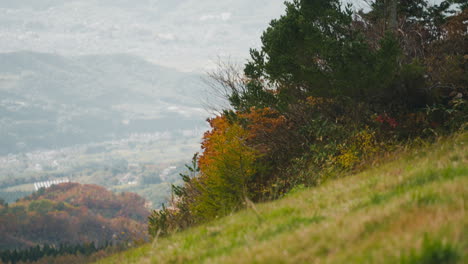 Schöne-Helle-Landschaft-Von-Zao-San-In-Miyagi,-Japan--weit