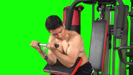 joven haciendo ejercicio para sus bíceps