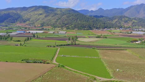 verdant beautiful landscape of constanza nature reserve with green landscape and mountains in background, dominican republic