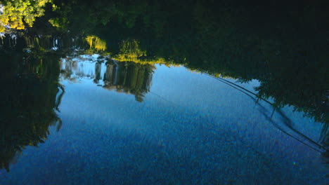 A-reflection-of-the-blue-California-sky-and-treetops-in-a-still-swimming-pool