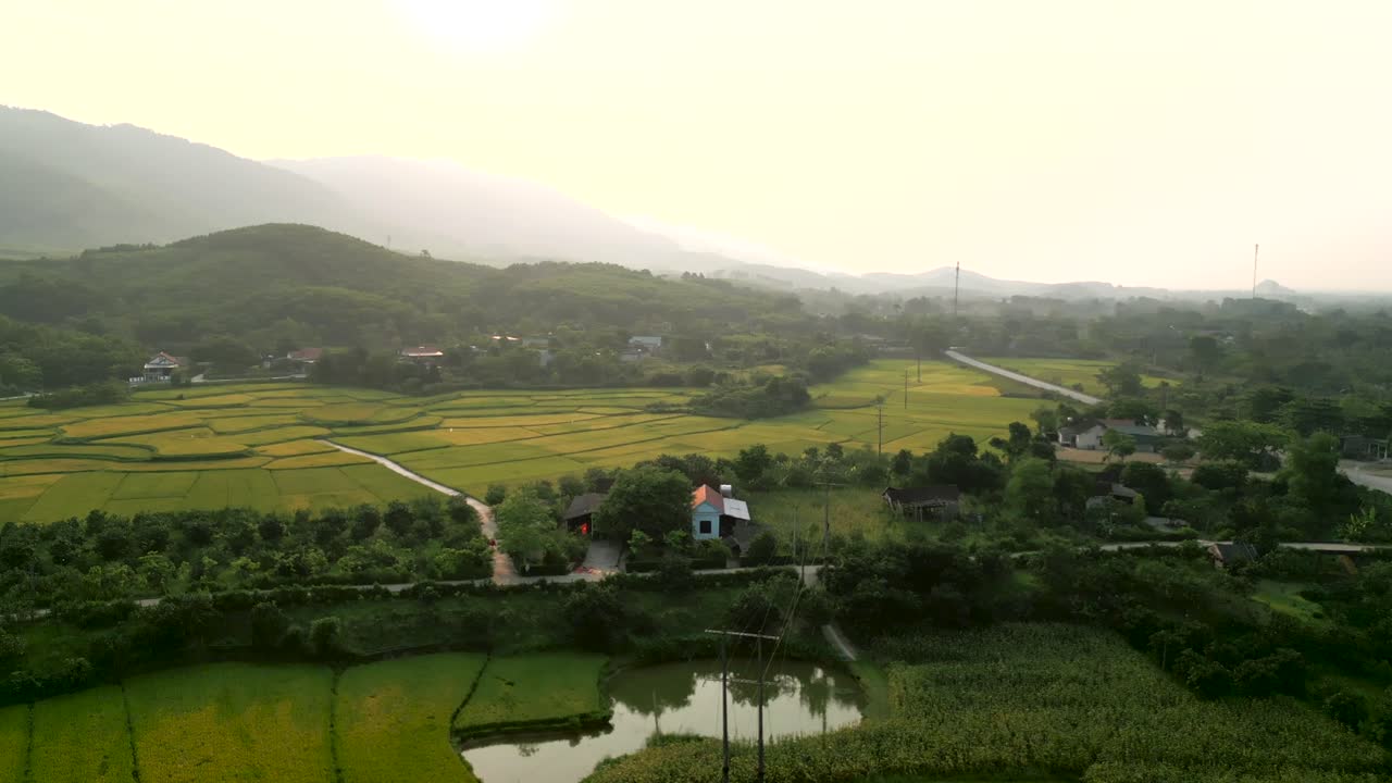Panoramic View of a Vietnamese Rice Paddy Landscape