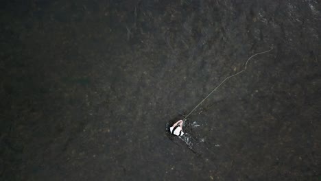 bird's eye drone shot above a man fly fishing in the provo river in the mountains of utah-1