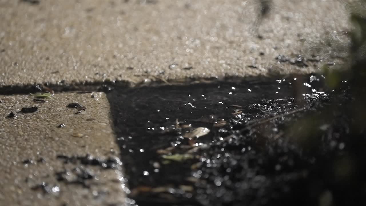 Rain Dirty Small Puddle on City Sidewalk Surface at Night