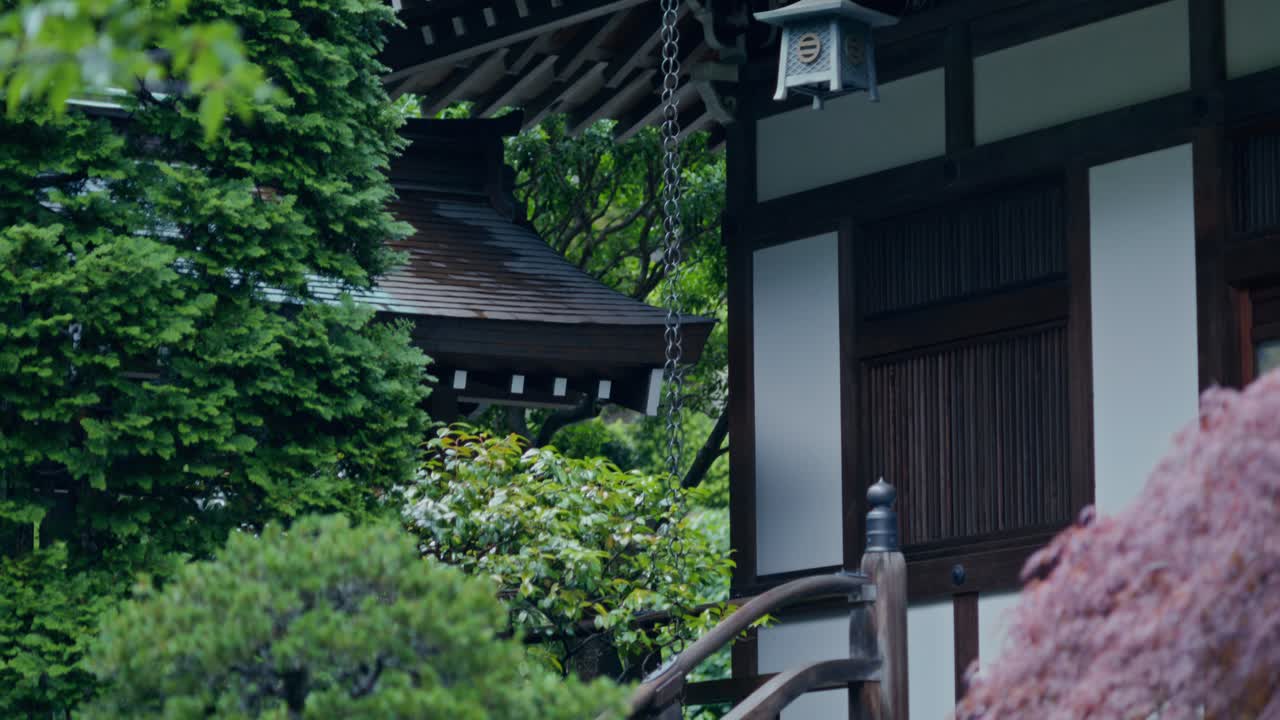 Japanese Temple Garden Scene