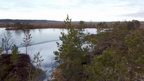 Luftdrohnenaufnahme-über-Einige-Bäume-Neben-Einem-Zugefrorenen-Moorsee-In-Luitemaa,-Tolkuse-Nationalpark-In-Estland