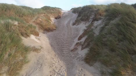 a static drone shot captures the powerful winds sweeping sand across the dunes at hvide sande beach, with stormy skies and rugged coastline setting the dramatic scene on a windy day in denmark