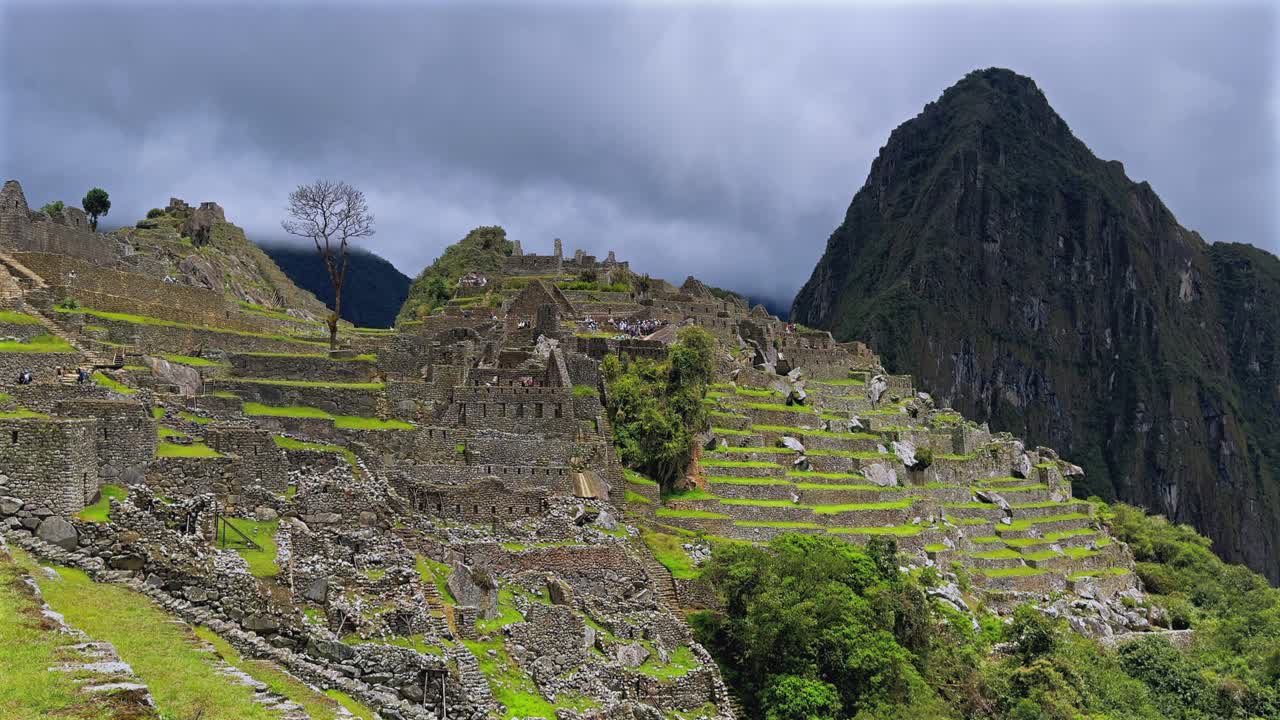 Circuito di Machu Picchu una mattina albero di shihuahuaco chihuahuaco Perù Perú vista aerea cielo azzurro soleggiato nuvole stagione delle piogge giungla verdeggiante montagna di Huayna Picchu Ande peruviane Tempio Inca Santuario statico
