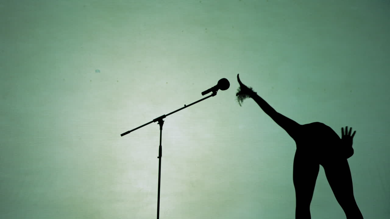 Silhouette of a performer on stage with a microphone