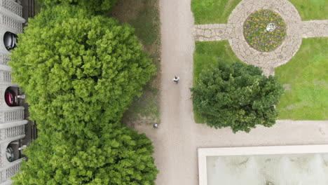 Person-walking-in-city-park-near-buildings-with-vibrant-trees-on-windy-day,-top-down-view