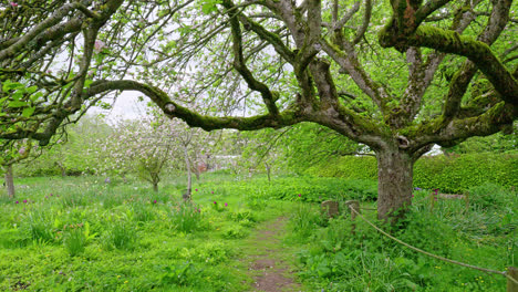 Gunby-Estate,-Hall-And-Gardens,-Gemütliches-Landhaus-Aus-Dem-Jahr-1700-Inmitten-Viktorianischer,-Ummauerter-Gärten-Am-Fuße-Der-Lincolnshire-Wolds