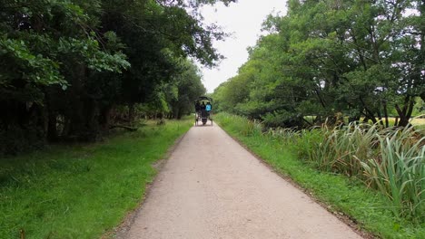 POV:-Pferdewagen-Auf-Kutschweg-Im-Killarney-Nationalpark,-Irland