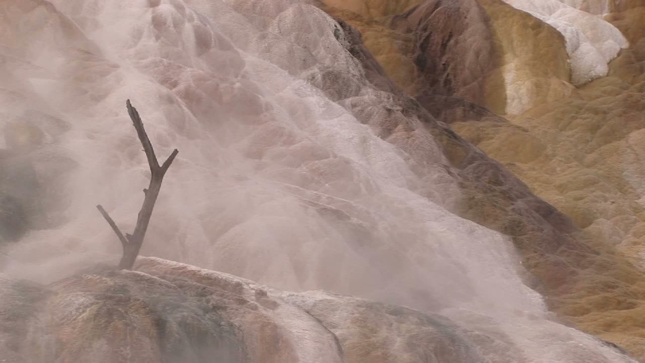 una rama de un árbol muerto emerge misteriosamente de los depósitos de piedra caliza encerrados en un manto brumoso de vapor ascendente en este paisaje surrealista