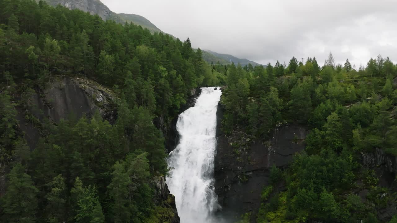 Majestic Waterfall in Lush Green Forest