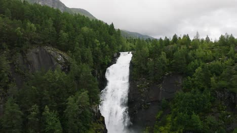 majestic waterfall in lush green forest