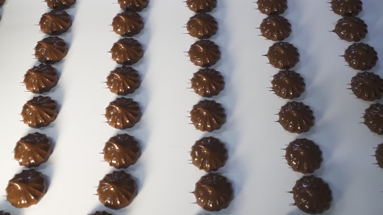 Fresh marshmallow covered with dark chocolate. The movement of the conveyor belt with finished products. Production of sweets at a food factory