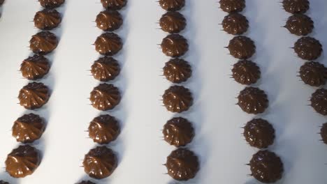 Fresh marshmallow covered with dark chocolate. The movement of the conveyor belt with finished products. Production of sweets at a food factory