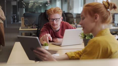colegas que trabajan juntos en un proyecto