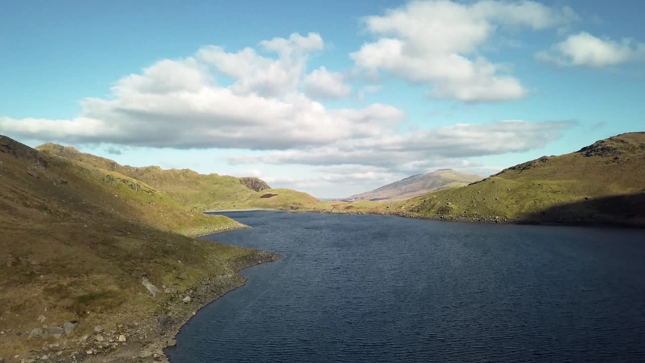 숲 근처의 아름다운 호수의 공중 전망