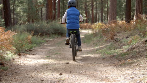 Family-cycling-through-a-forest,-back-view,-low-angle