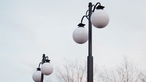tall lamp poles with spherical white lights rise against pale sky in quiet winter park, surrounded by trees, creating serene minimal composition with soft natural lighting and calm atmosphere
