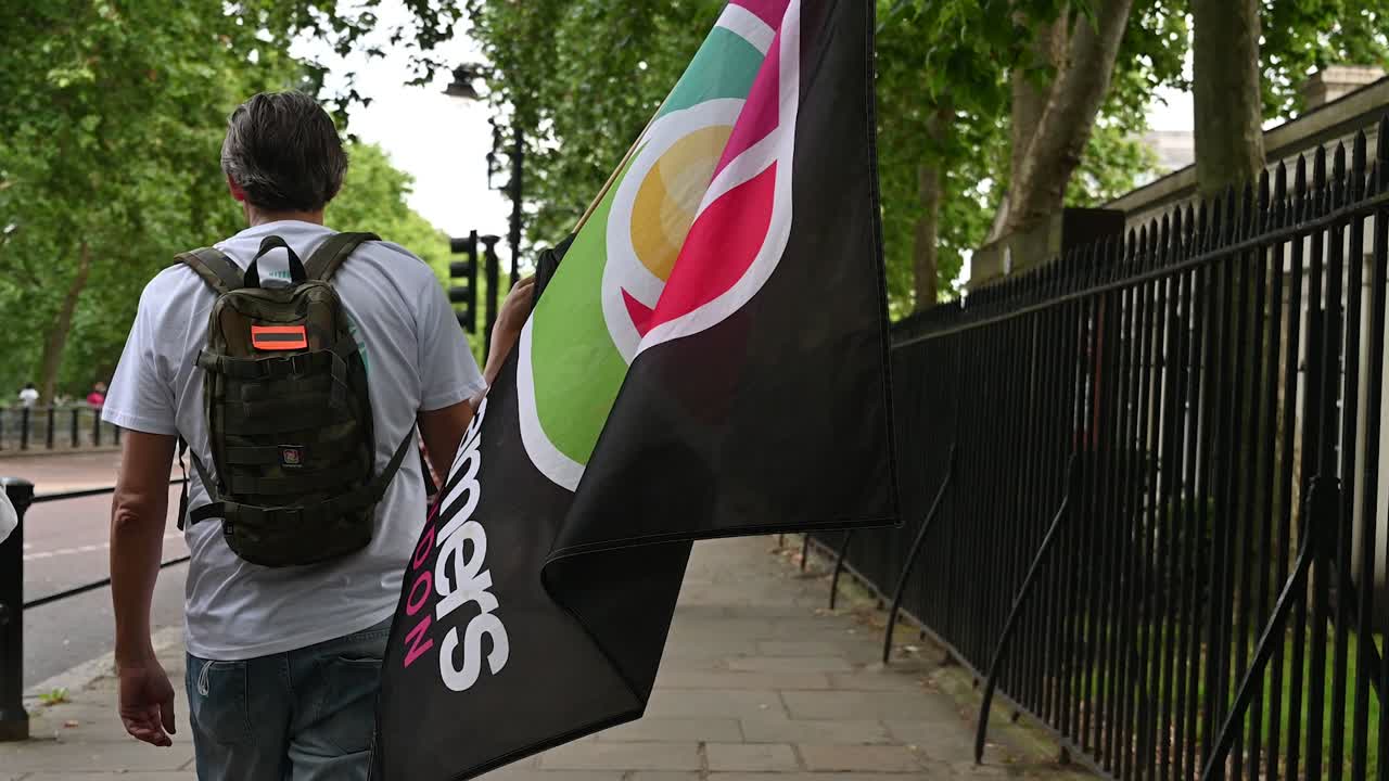 Protestor carrying a flag during a political demonstration