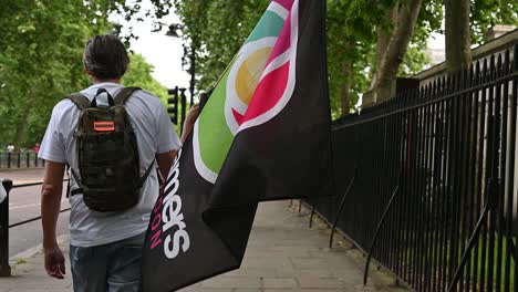 protestor carrying a flag during a political demonstration