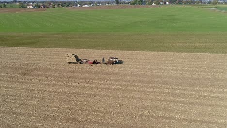 aerial view of an amish man and woman harvesting corn stalks and bailing in squares with horse drawn equipment on a sunny fall day