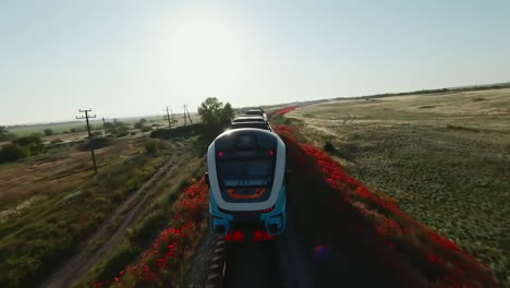 train passing through poppy field