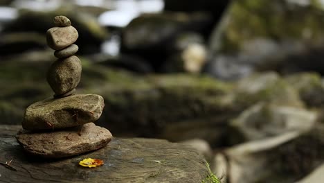 stacked stones with a flower in nature