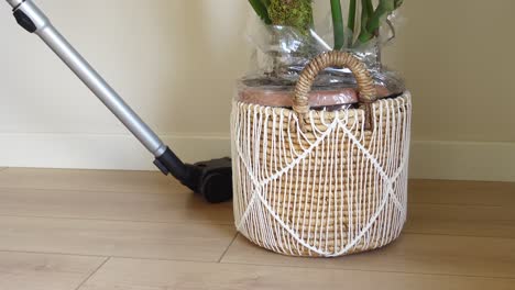 woman vacuuming floor near a plant in a basket