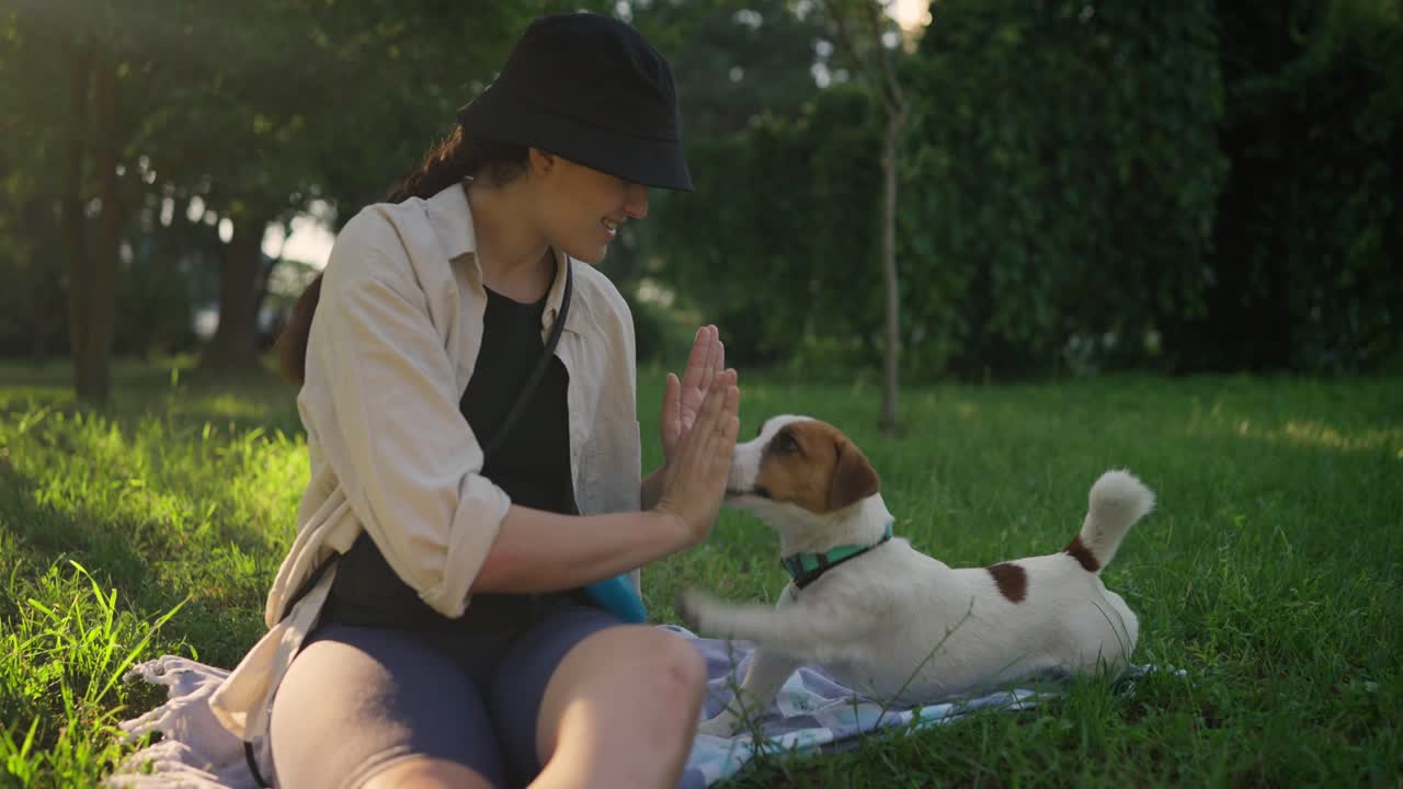 여자와 그녀의 잭 러셀 테리어 공원에서 높은 다섯