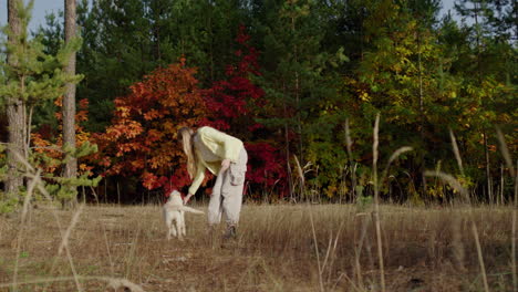 Adolescente-Jugando-Con-Un-Perro-En-Un-Pintoresco-Bosque-Otoñal.